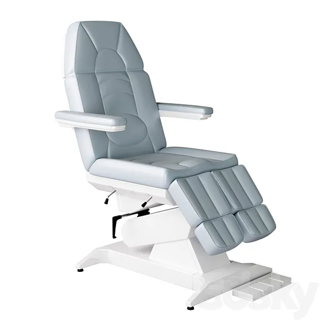 Pedicure chair Foot Profi-1 3DS Max Model