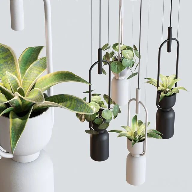 Pendant lamp luxcambra OXYGEN 3dsMax Model