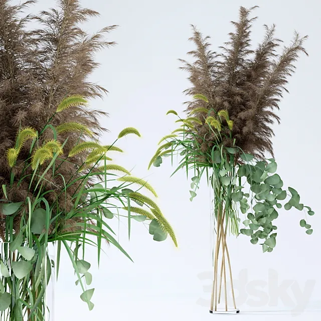 Pennisetum & Pampas grass & Eucalyptus 3DSMax File
