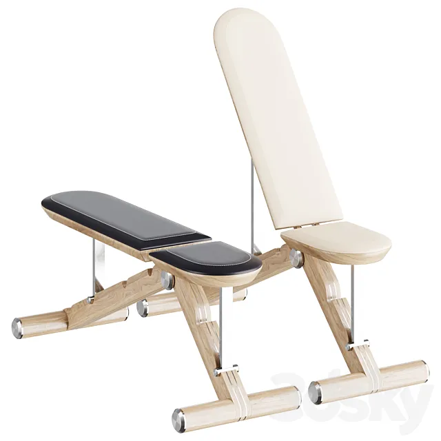 PENT. luxury fitness equipment 3DS Max Model