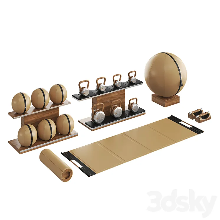 PENT luxury fitness equipment part 4 3DS Max Model