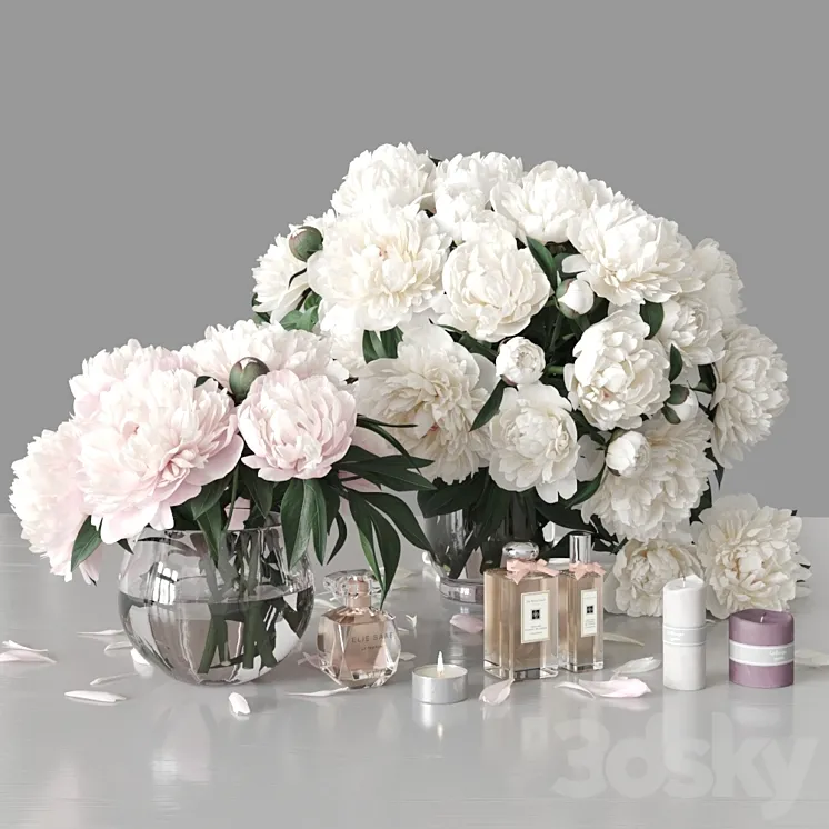 Peonies 2 3DS Max