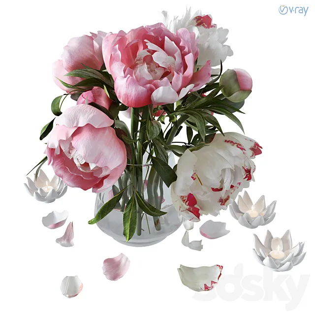 Peonies 3DS Max Model