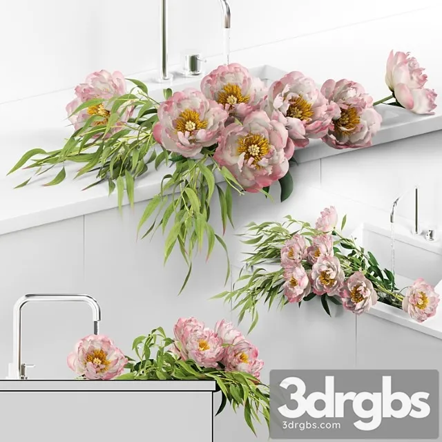 Peonies in sink 3dsmax Download