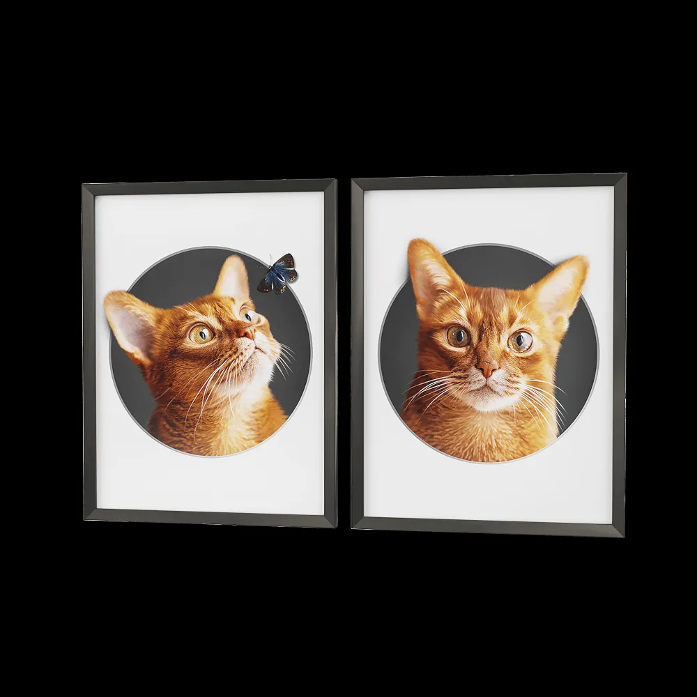 Petposter – Cat print 2 3ds Max