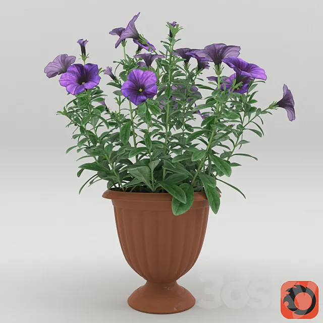 Petunia in a flower pot 3DSMax File
