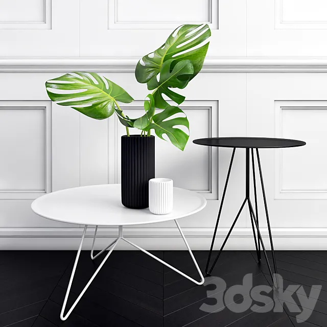 Philodendron 3DS Max Model