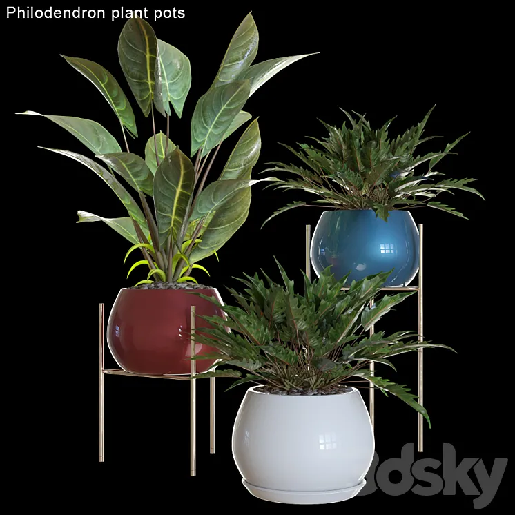 Philodendron plant pots # 2 3DS Max