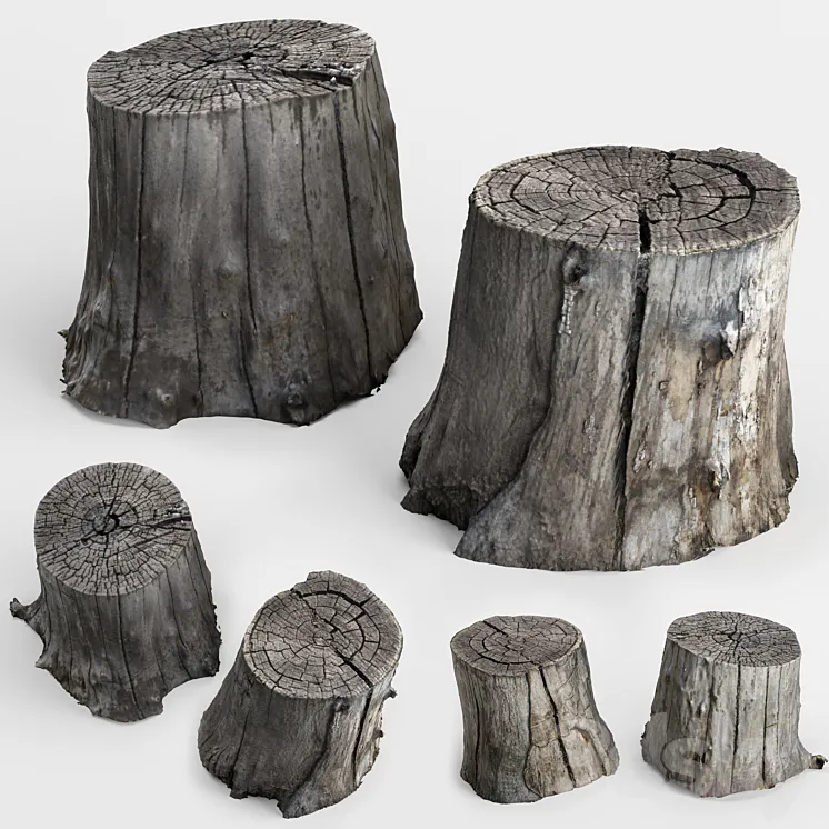 photoscan of two stumps 3DS Max
