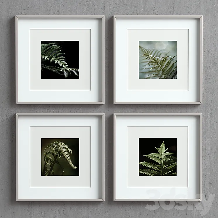 Picture Frames Set-50 3DS Max