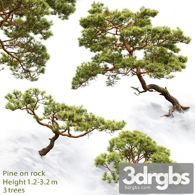 Pine 18 3dsmax Download