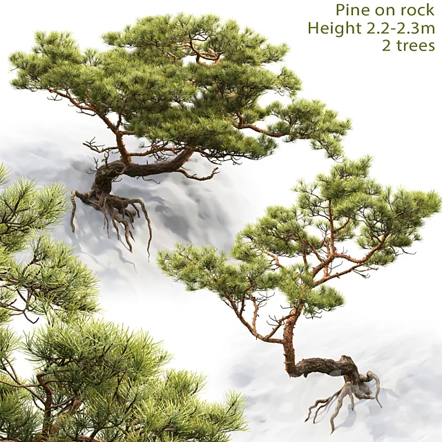 Pine 3DSMax File