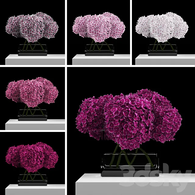 Pink hydrangeas 3DS Max Model