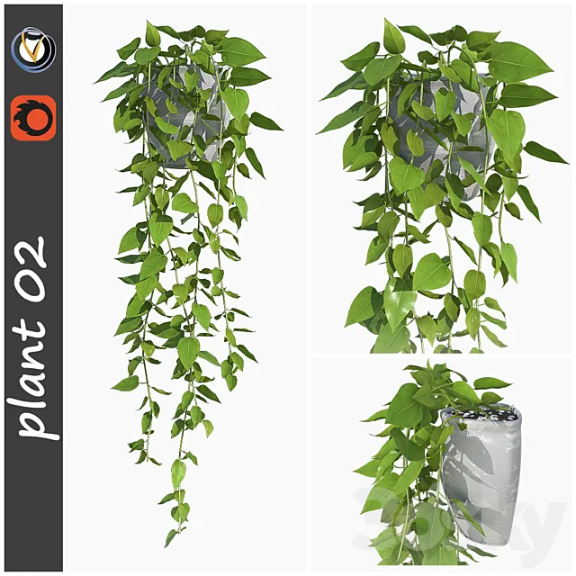 plant 02 3DSMax File
