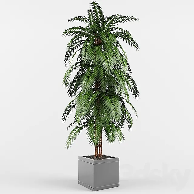 plant 3ds Max