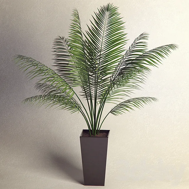 Plant 3ds Max