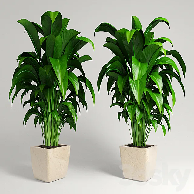 plant 3DS Max Model