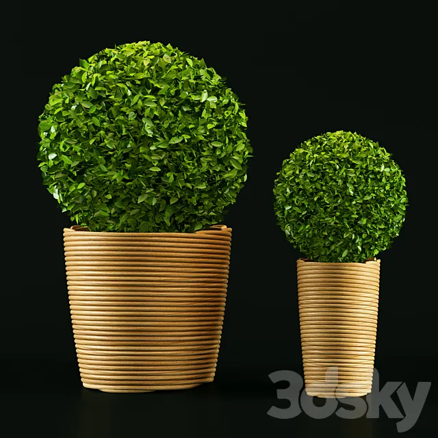 Plant 3DS Max Model