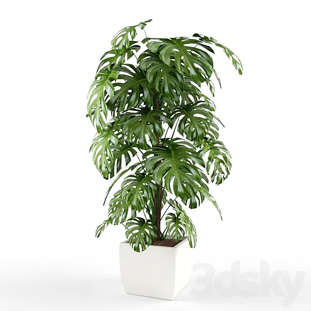 plant 3DS Max Model