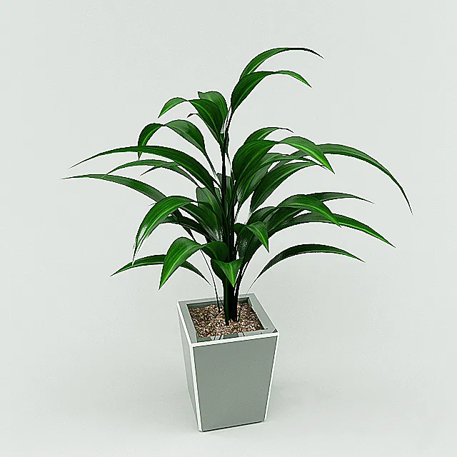 plant 3DSMax File