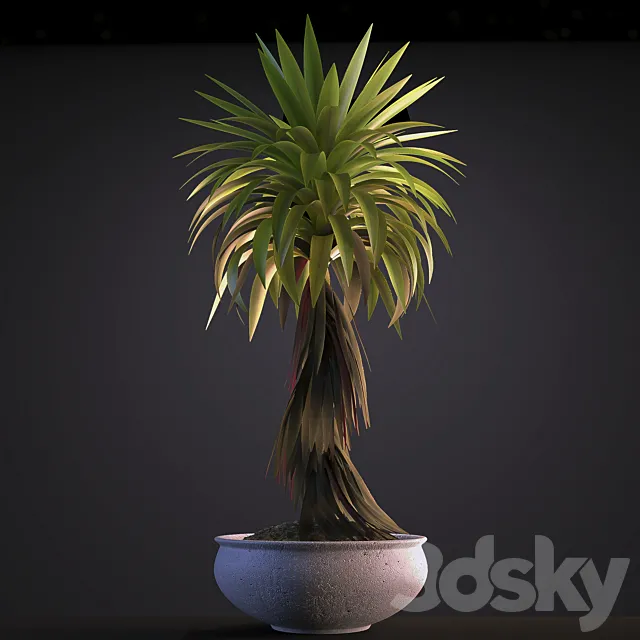 PLANT 5 3DS Max Model