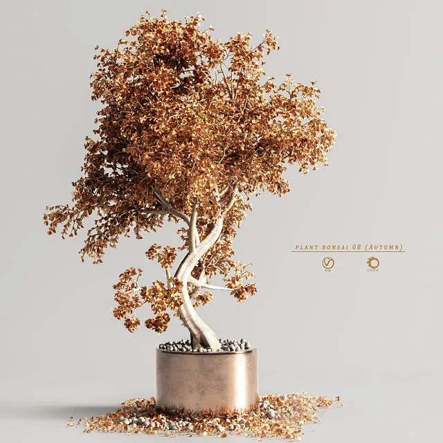 plant bonsai 08 (Autumn) 3ds Max