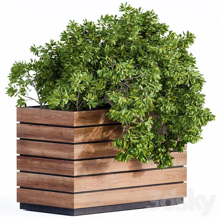 Plant Box Green & Wood 3DS Max