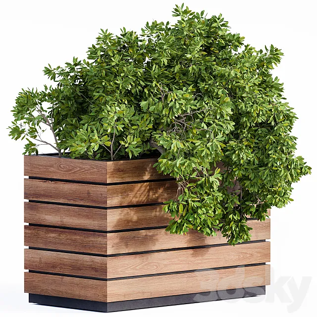 Plant Box Green & Wood 3DSMax File