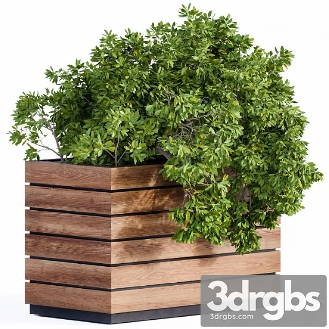 Plant box green & wood