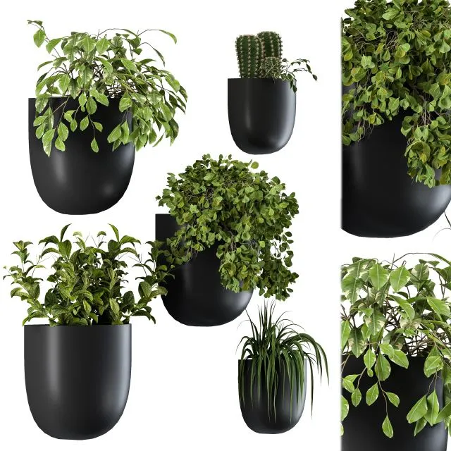 Plant Box on Wall 01 3dsMax Model