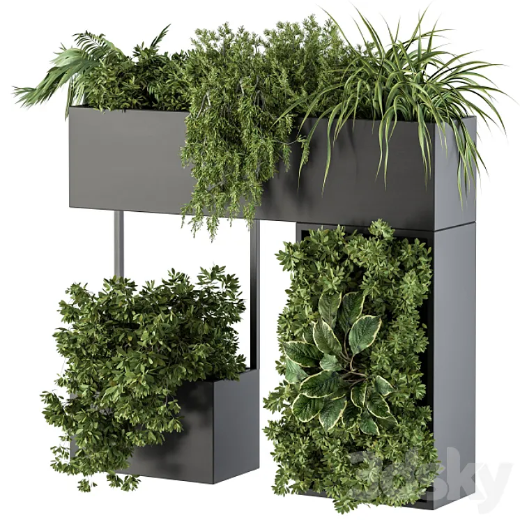 Plant Box on wall – indoor Plants 300 3DS Max