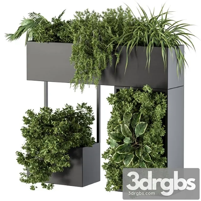 Plant box on wall – indoor plants 300