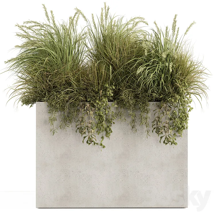 Plant Box – Outdoor Plants 480 3DS Max Model