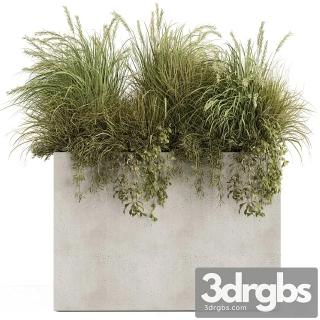 Plant box – outdoor plants 480