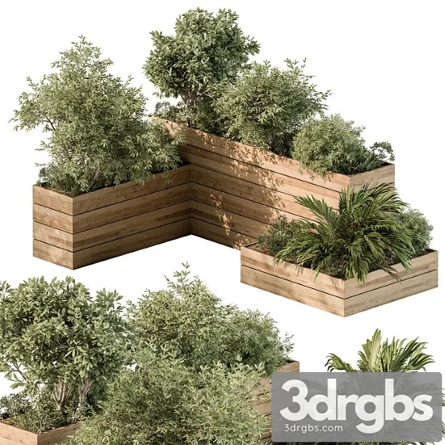 Plant box – outdoor plants 487