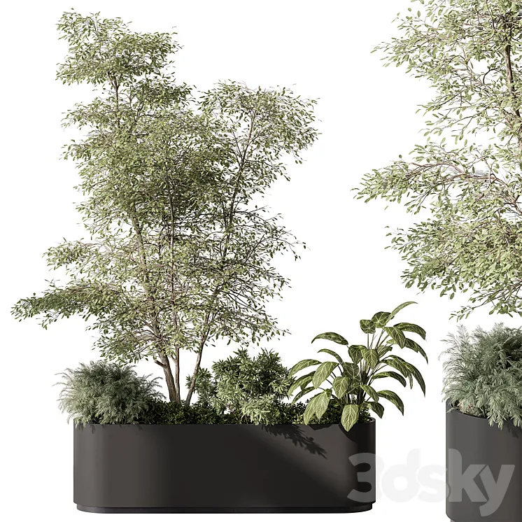 Plant Box – Outdoor Plants 515 3DS Max Model