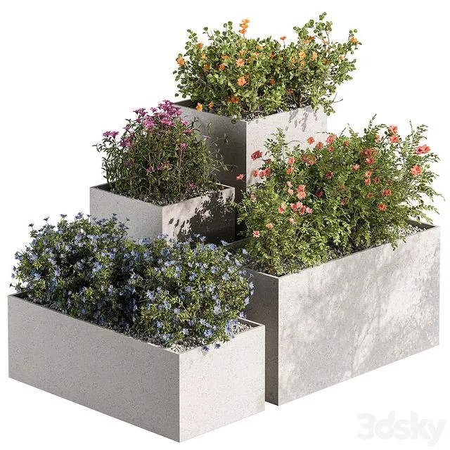 Plant Box Outdoor Plants Flowers 534 3dsMax Model