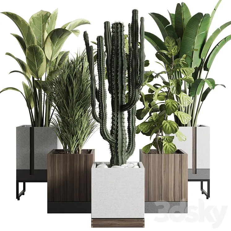 Plant box_Indoor outdoor plant 163 wooden and concrete dirt vase box pot palm cactus Collection 3DS Max Model