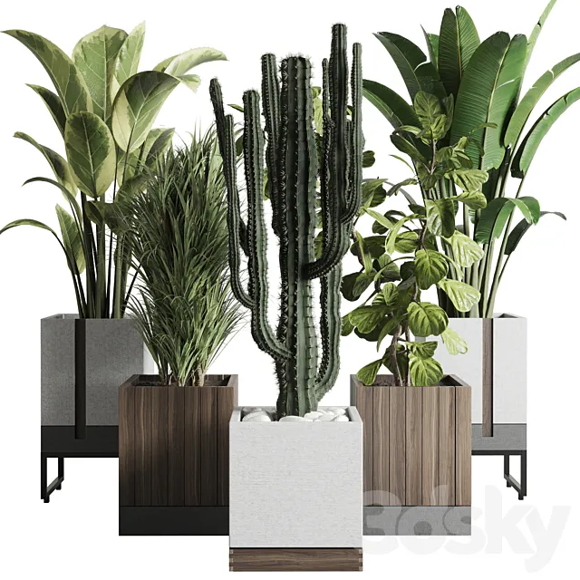 Plant box_Indoor outdoor plant 163 wooden and concrete dirt vase box pot palm cactus Collection 3DSMax File