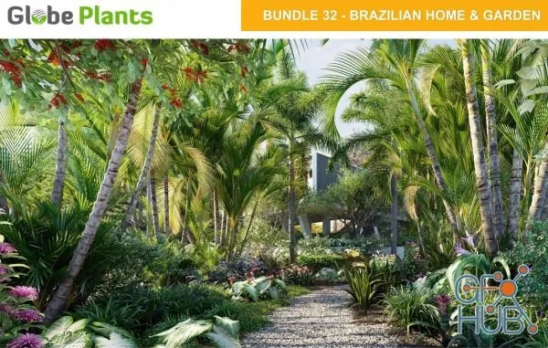 Plant Bundle 32 – Brazilian Home & Garden Plants (3D-Models)