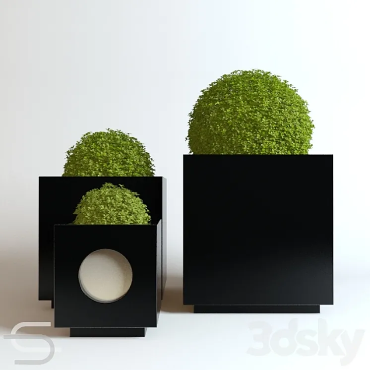 Plant CEDE 07 3DS Max