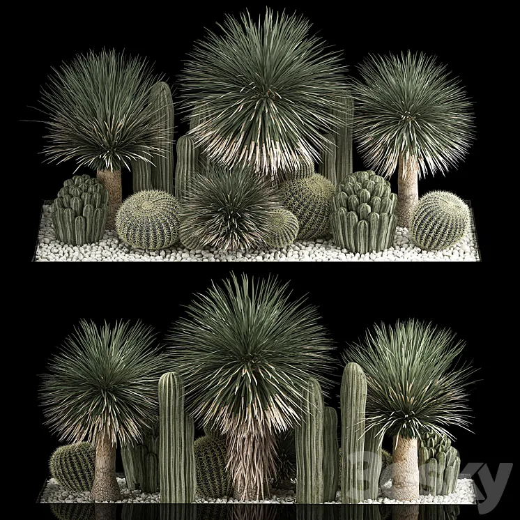 Plant collection 1116. Desert Plants Gravel Yucca Dracaena Pebble Cactus Garden Cereus Round Cactus Landscaping Barrel cactus 3DS Max Model