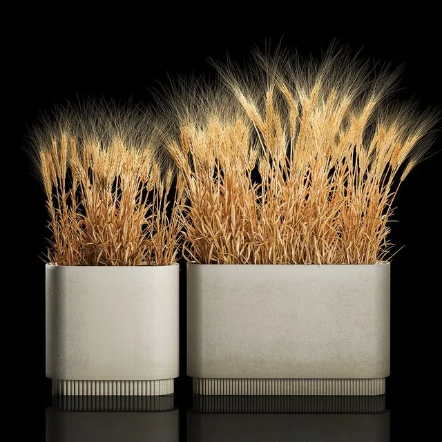 Plant collection 1204 3dsMax Model