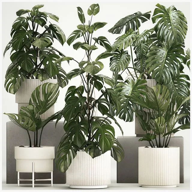 Plant collection 1213 3dsMax Model