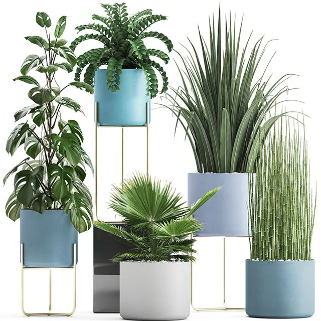 Plant collection 281 3dsMax Model