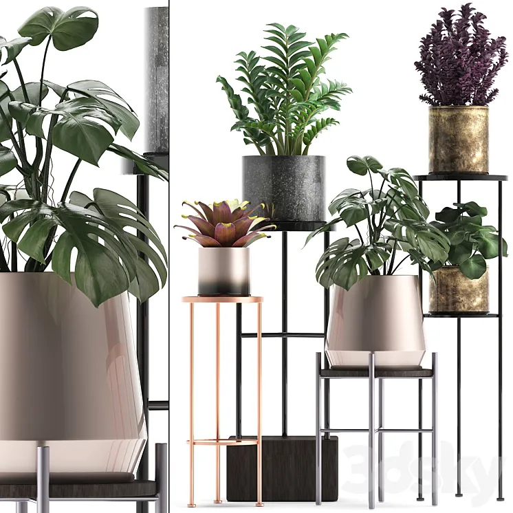 Plant collection 286. Flower shelf pot monstera bromeliad Zamioculcas luxury small plants stand 3DS Max