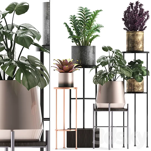 Plant collection 286. Flower shelf. pot. monstera. bromeliad. Zamioculcas. luxury. small plants. stand 3DSMax File