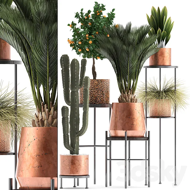 Plant collection 288.  Copper pot. shelf with flowers. stand. cactus. palm tree. cicada. copper. tangerine. flower. bush. interior. metal. loft. cycas 3DSMax File