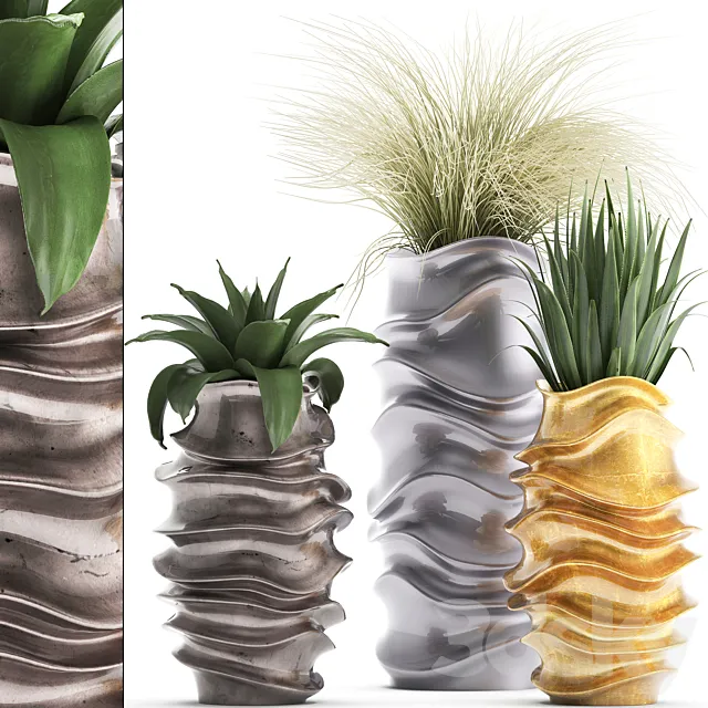 Plant collection 289. luxury flowerpot pot grass agave interior plants luxury decor 3DS Max Model