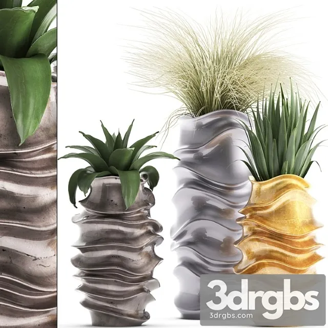 Plant collection 289. luxury flowerpot, pot, grass, agave, interior plants, luxury decor